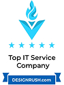 Top IT Service Company