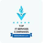 Top IT Service Company  (Designrush.com)