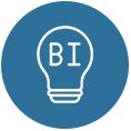 Business Intelligence (BI)