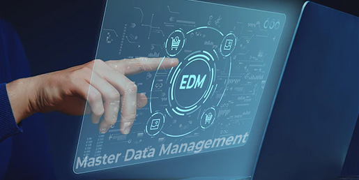 Master Data Management