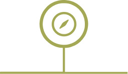 Discover & Strategize