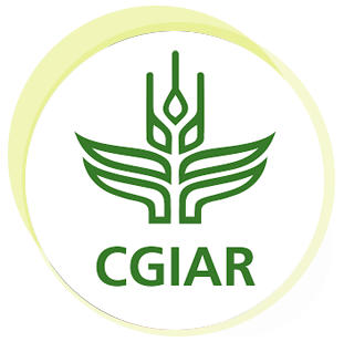 Beyond Client - CGIAR System Organization