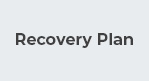 Recovery Plan