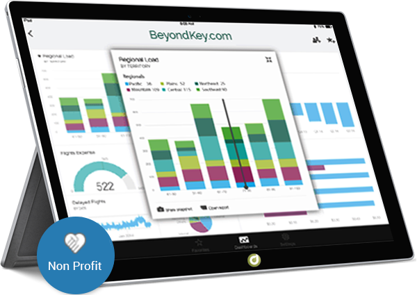 BI Integration for Healthcare NPO