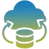 Disaster Recovery & Business Continuity Icon