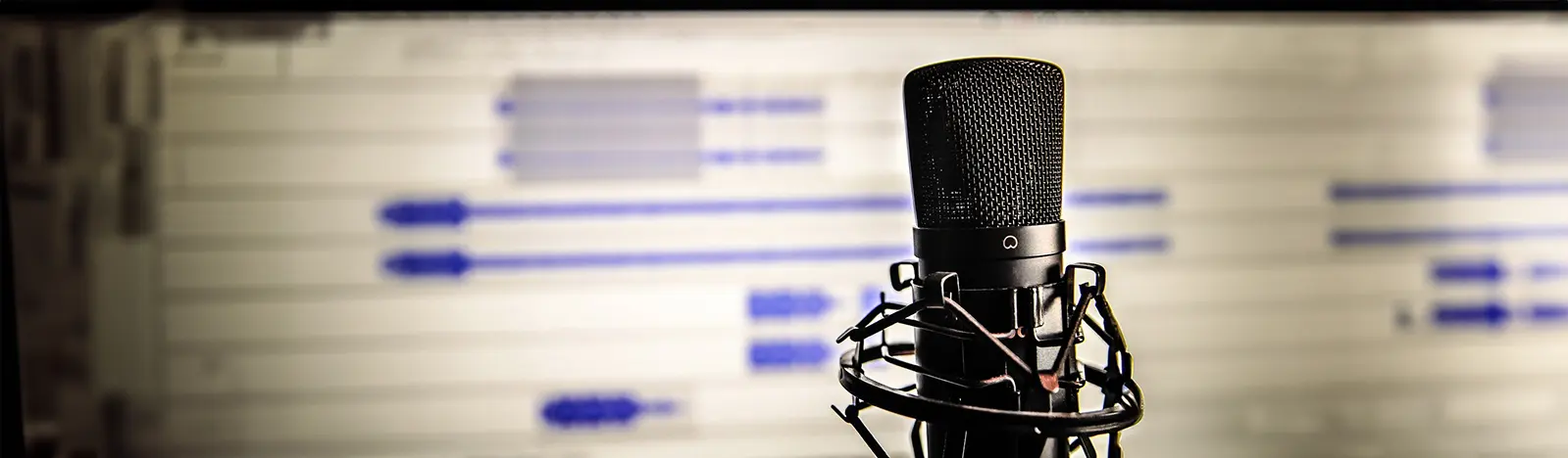 Business Voice