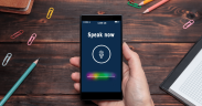 Voice chatbot