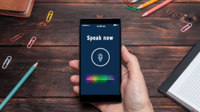 Voice chatbot