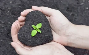 Dynamics 365 for Nonprofits