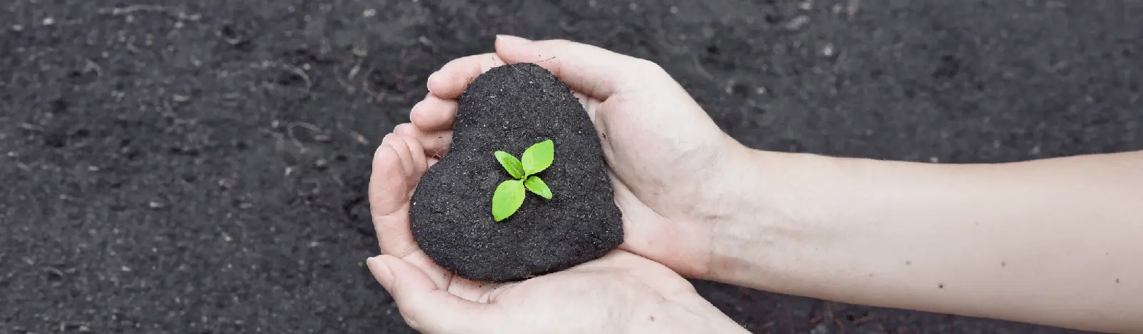 Dynamics 365 for Nonprofits