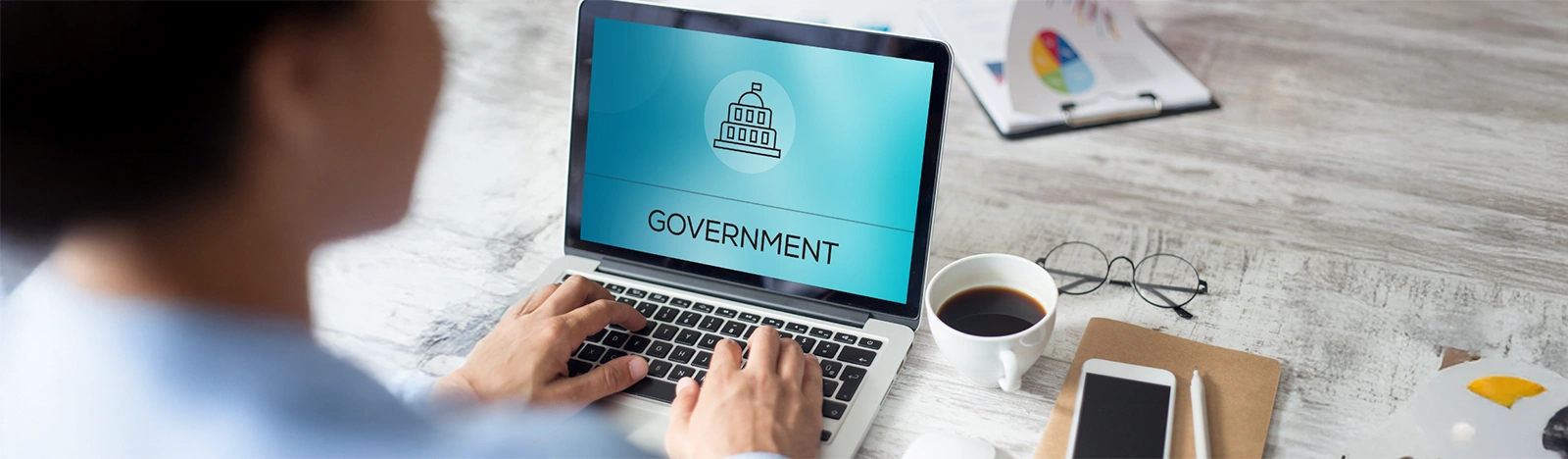 Government Business Intelligence