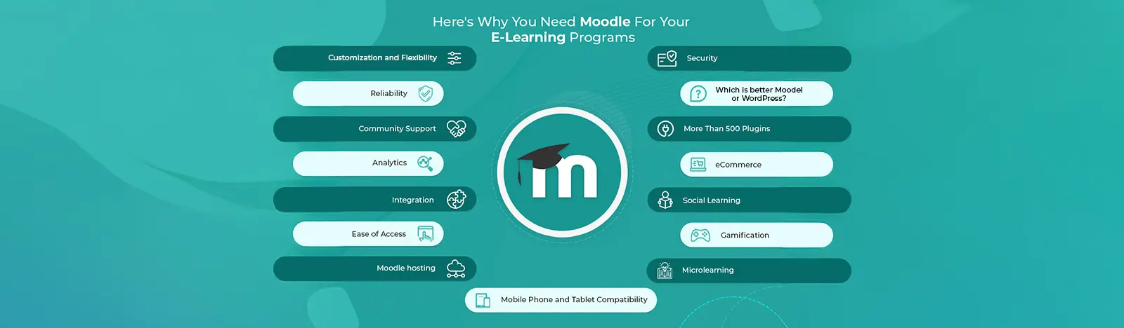 Moodle E Learning