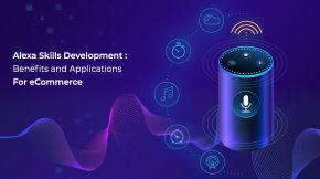 Alexa Skill Development