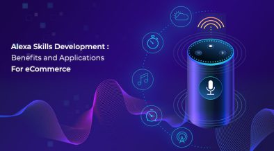 Alexa Skill Development