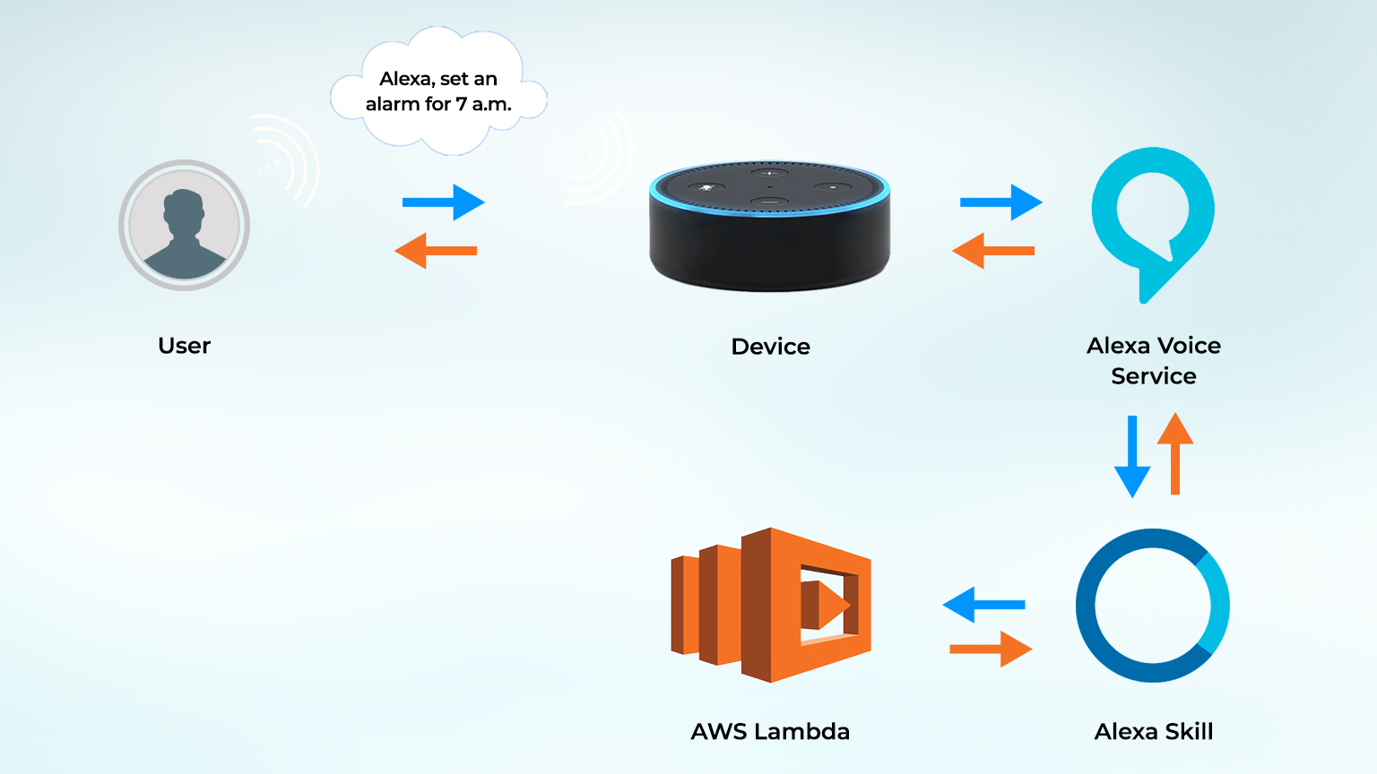 alexa skill development process