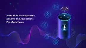Alexa Skill Development