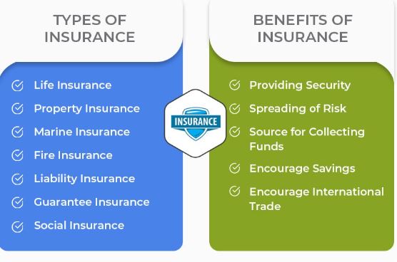 Insurance Benefits