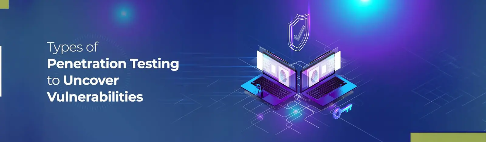 Penetration Testing