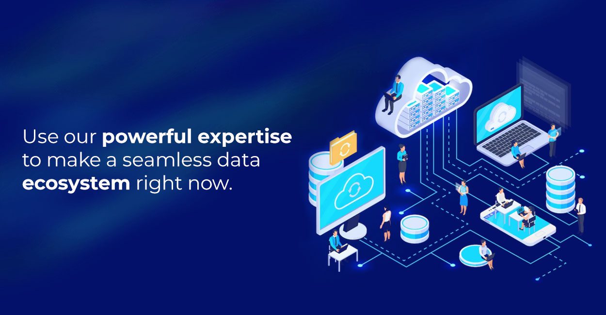 seamless data ecosystem