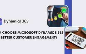 Dynamics Customer Engagement