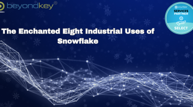 Snowflake Use Cases