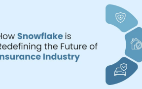 Snowflake For Insurance