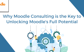Moodle Consulting