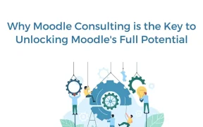Moodle Consulting