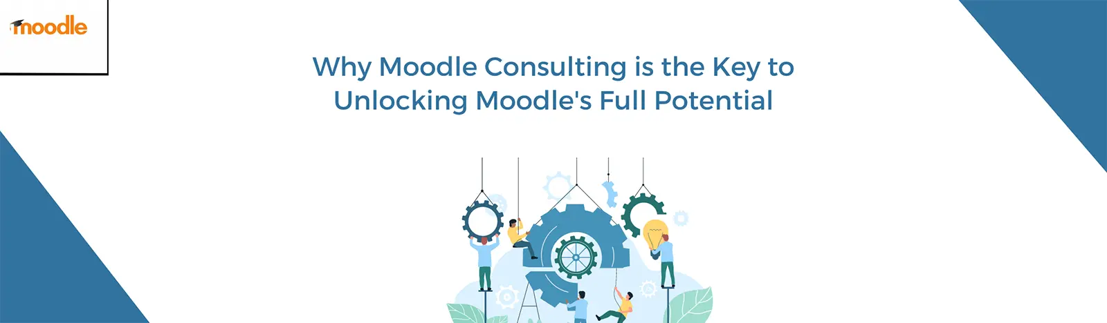 Moodle Consulting