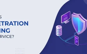 Penetration Testing as a Service