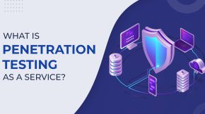 Penetration Testing as a Service