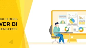 Power BI Consulting Cost