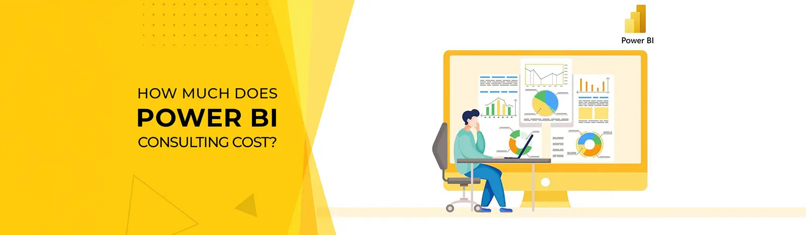 Power BI Consulting Cost