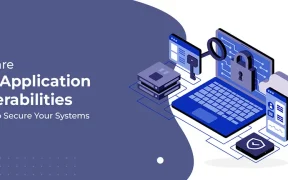 What are Web Application Vulnerabilities?