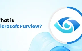 What is Microsoft Purview