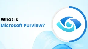 What is Microsoft Purview