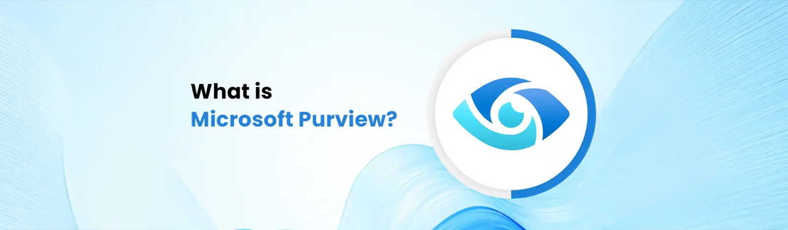 What is Microsoft Purview