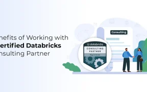 Databricks Consulting Partner