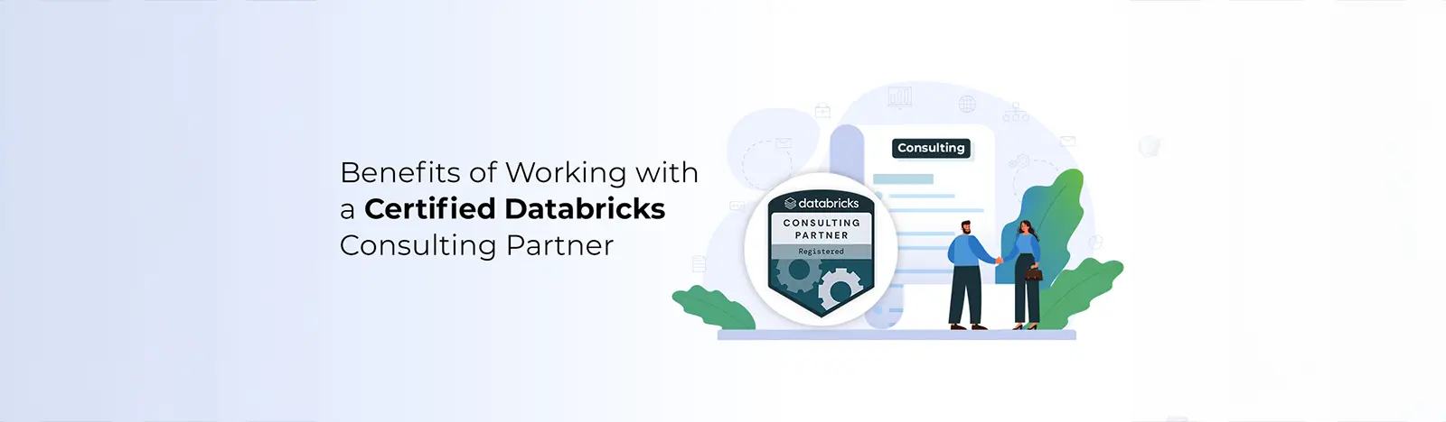 Databricks Consulting Partner