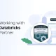 Databricks Consulting Partner