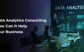 Data Analytics Consulting