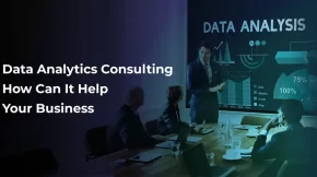 Data Analytics Consulting