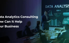 Data Analytics Consulting