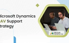 Microsoft Dynamics NAV Support Strategy