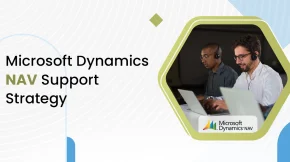 Microsoft Dynamics NAV Support Strategy