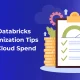 Databricks cost optimization